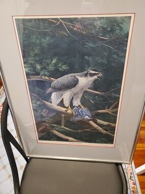 Ned Smith "The Goshawk's Tribute" lim. edit. lithograph print, good condition